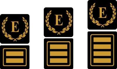 Funktionsabzeichen Ehrendienstgrade